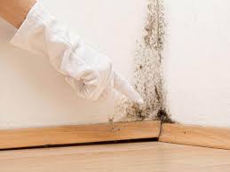 Best Mold Odor Removal Services  in Vinita, OK